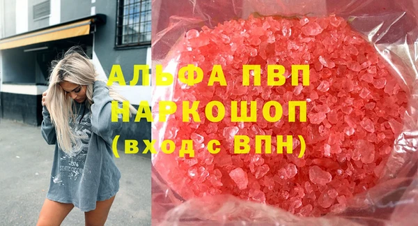 стафф Алексин