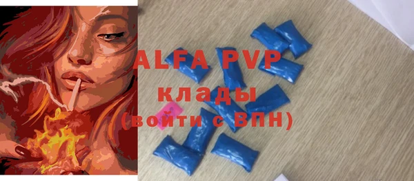 стафф Алексин