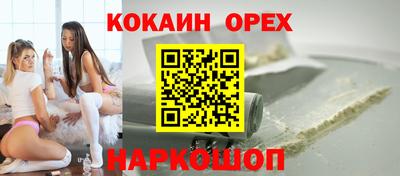 гашик Новозыбков