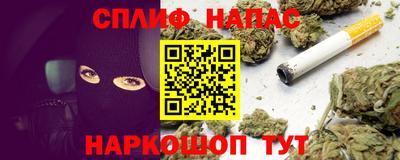 гашик Новозыбков
