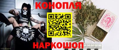 гашик Новозыбков