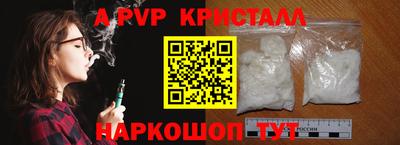 гашик Новозыбков