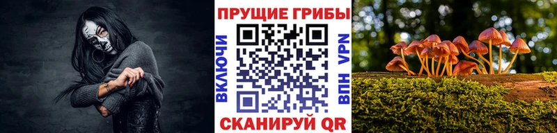 Псилоцибиновые грибы ЛСД  Ростов-на-Дону 