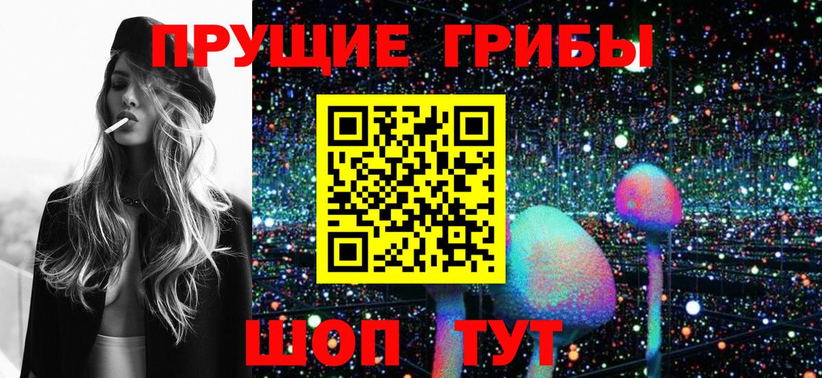 Галлюциногенные грибы MAGIC MUSHROOMS  Вход с VPN  Ростов-на-Дону  Галлюциногенные грибы GOLDEN TEACHER 