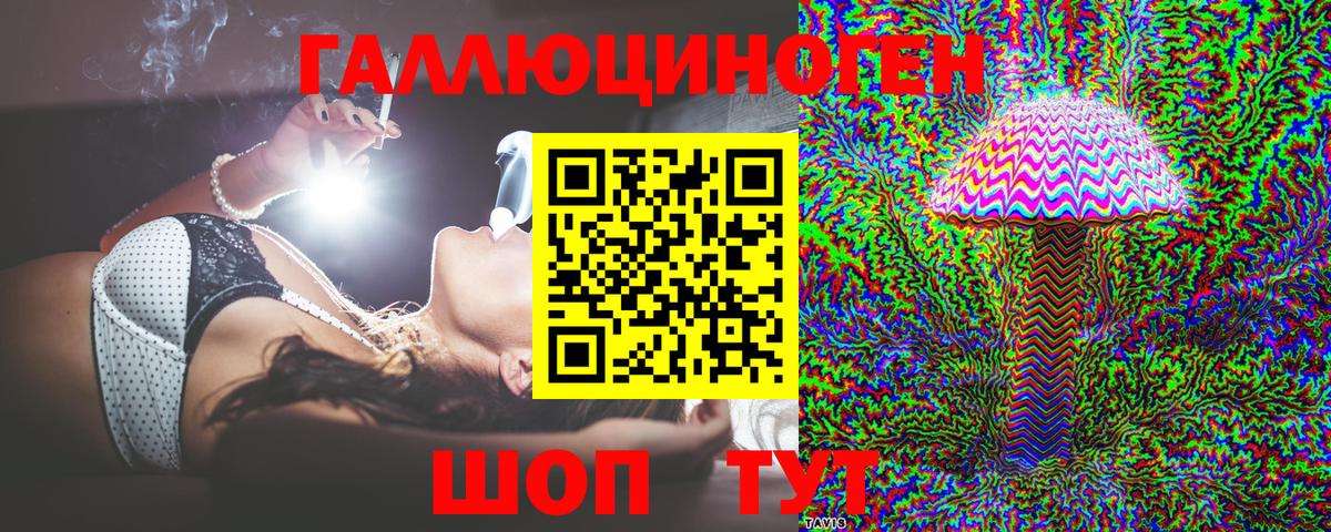 Псилоцибиновые грибы Psilocybine cubensis Ростов-на-Дону